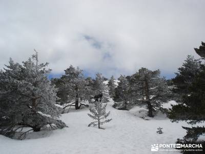 Siete Picos - Parque Nacional Cumbres del Guadarrama;sierra de irati tiendas de montaña madrid